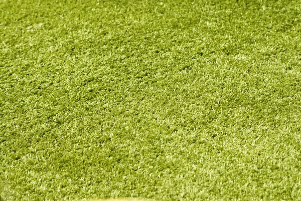 Zelené trávě close-up pozadí — Stock fotografie