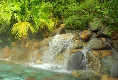 Garden with beautiful waterfall clipart