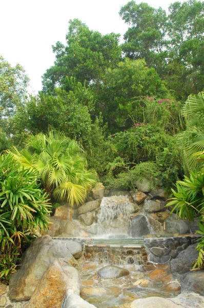 Сад с красивым водопадом — стоковое фото