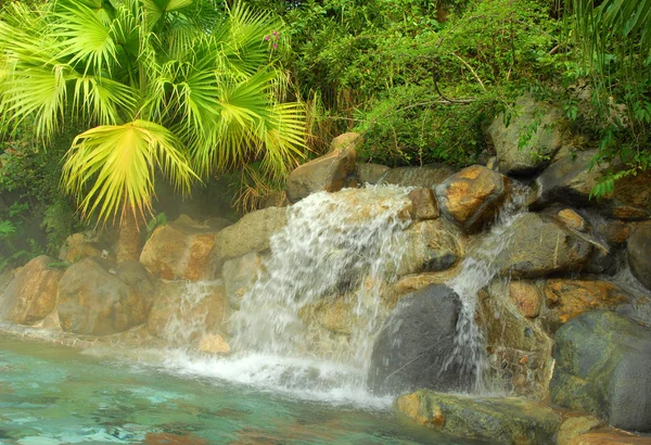 Jardín con hermosa cascada — Foto de Stock