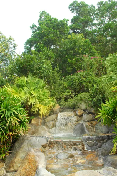 Garden with beautiful waterfall — Stock Image Garden with beautiful waterfall Stock Picture