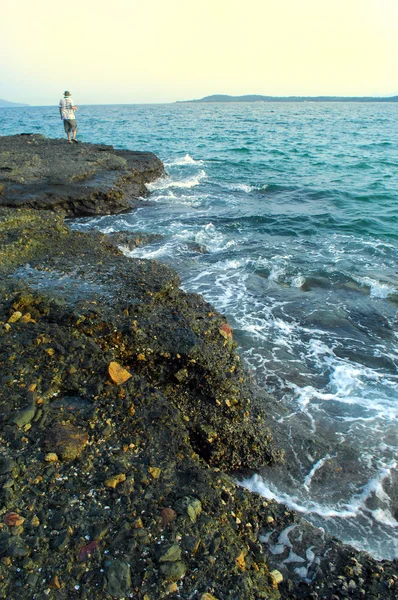 Sea and rocks is a beautiful coastline — Stock Photo, Image