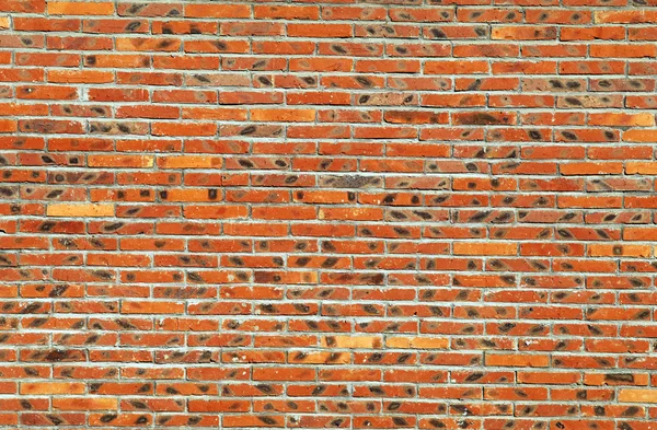 Streszczenie szorstki tło cegły ściany — Zdjęcie stockowe