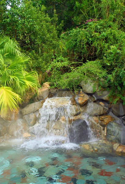 Garden with beautiful waterfall — Stock Photo, Image