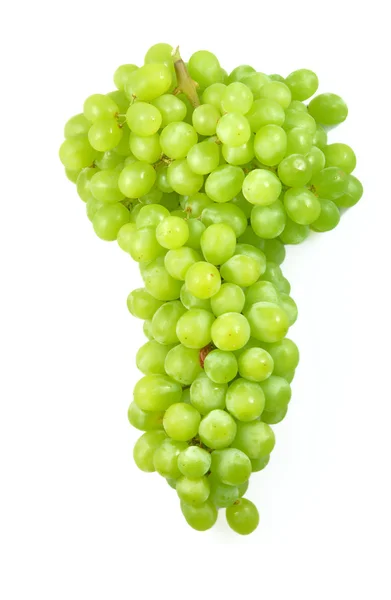 Ramo de uva blanca —  Fotos de Stock