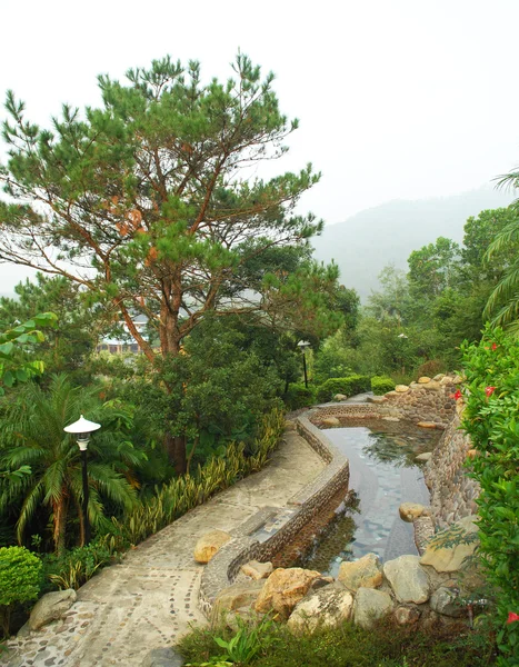 Giardino giapponese con bella cascata e stagno e alberi — Foto Stock