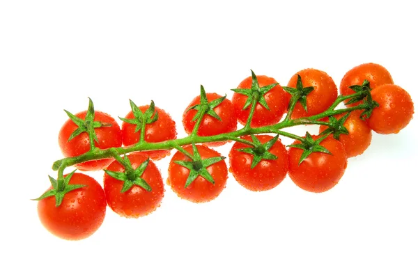 Tomate cerise et un tas d'entre eux — Photo