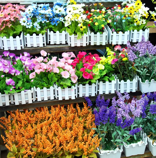 stock image Flower Pots