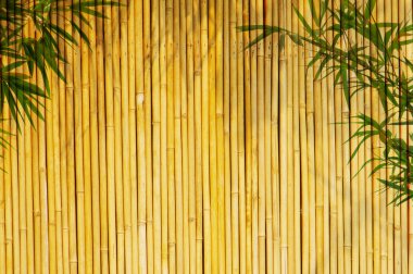 Light golden bamboo Background clipart