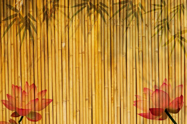 Light Golden bamboo — Stock Photo, Image