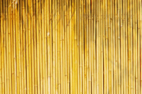 Luce dorata bambù sfondo — Foto Stock