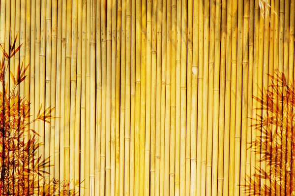 Heller goldener Bambus Hintergrund — Stockfoto