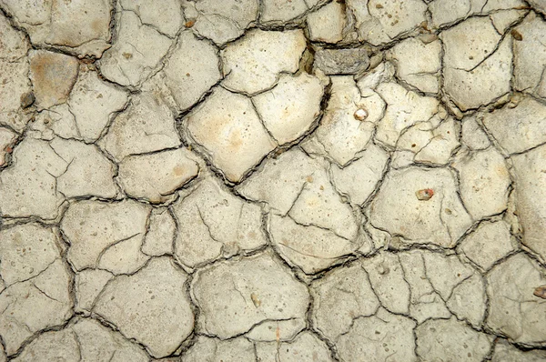 干ばつの地面 — ストック写真