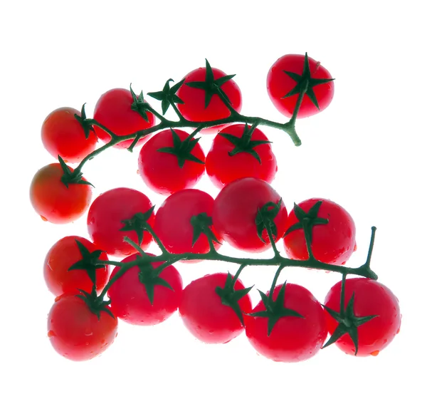 Cherry Tomato — Stock Photo, Image
