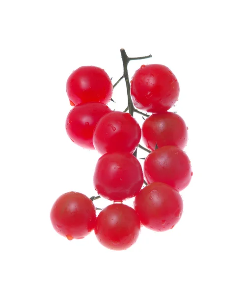 Cherry tomaat en een bos van hen — Stockfoto