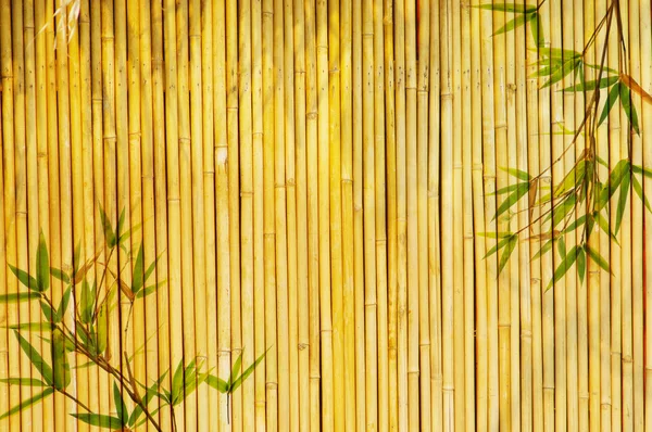 가벼운 황금 대나무 배경 — 스톡 사진