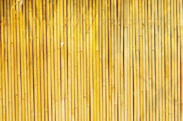 Light Golden bambus Background — Fotografie, imagine de stoc