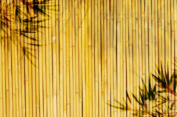 Luz dourada fundo de bambu — Fotografia de Stock