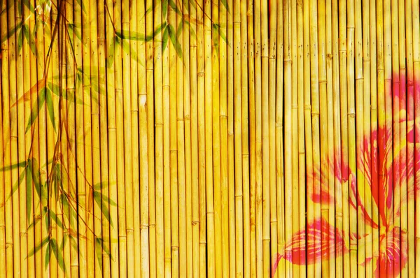Işık altın bambu — Stok fotoğraf