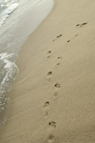 Voetstappen bedrukt naast elkaar in het zand — Stockfoto