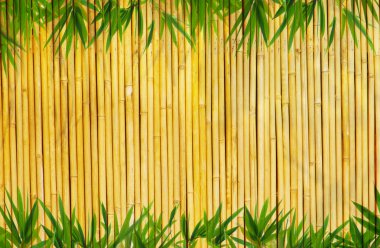 Light golden bamboo Background clipart