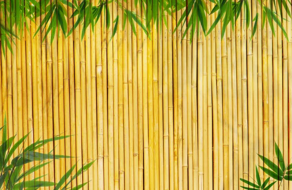 가벼운 황금 대나무 배경 — 스톡 사진
