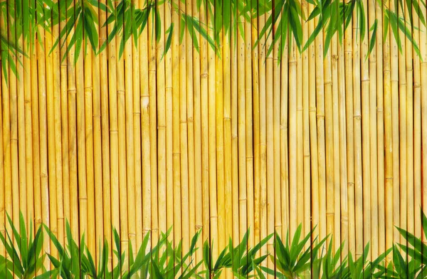 Fondo de bambú dorado claro — Foto de Stock