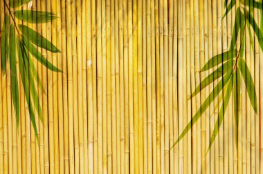 Light golden bamboo Background clipart