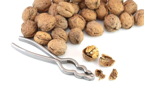 stock image Walnuts with nutcracker