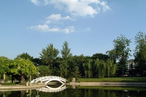 公园内的白色曲线的桥 — 图库照片