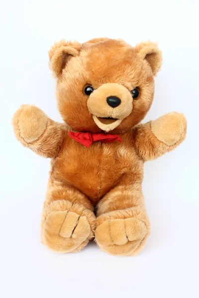 Mooie teddy-bear — Stockfoto