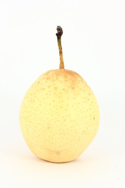 Chinese pear clipart