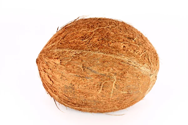 stock image Coconut