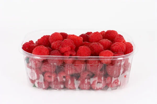 Fresh raspberries in plastic container — Stock Photo, Image