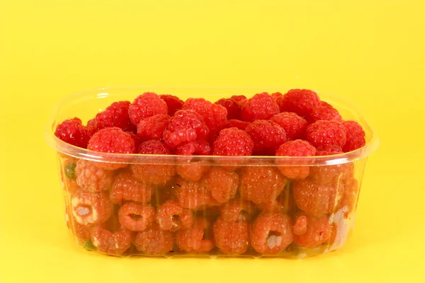 Fresh raspberries in plastic container — Stock Photo, Image