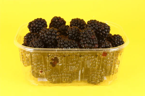 Fresh blackberries in plastic container — Stock Photo, Image