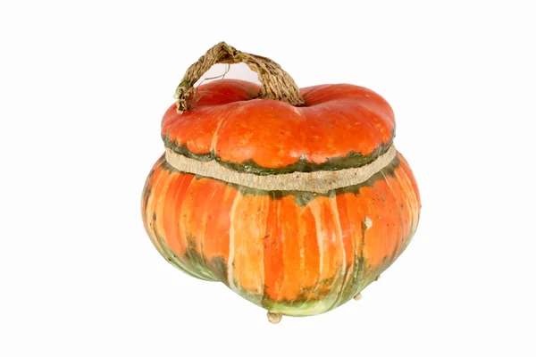 Декоративні gourd — стокове фото