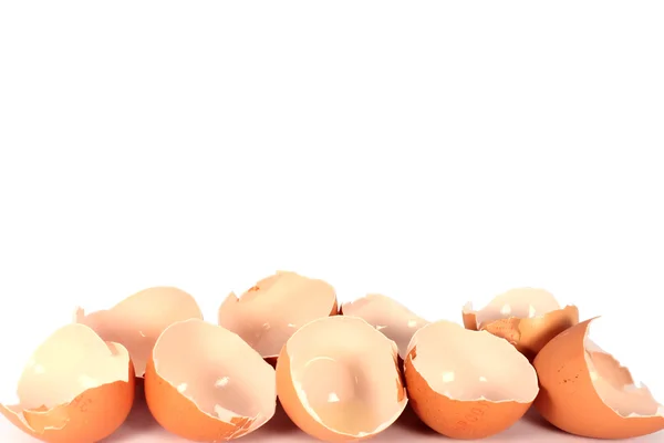 Egg shells — Stock Photo, Image