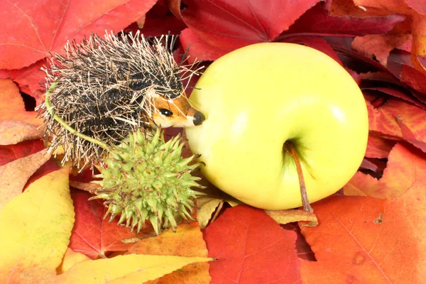 Яблоко и ёжик в листве — стоковое фото