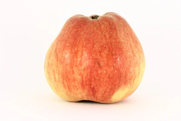 Reifer frischer roter Apfel — Stockfoto
