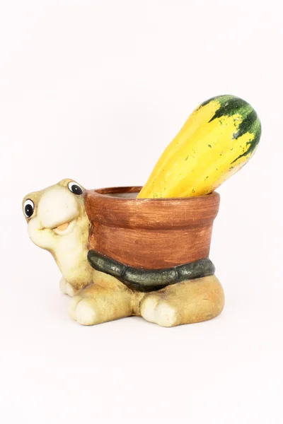 Turtle and a gourd — Stock Photo, Image