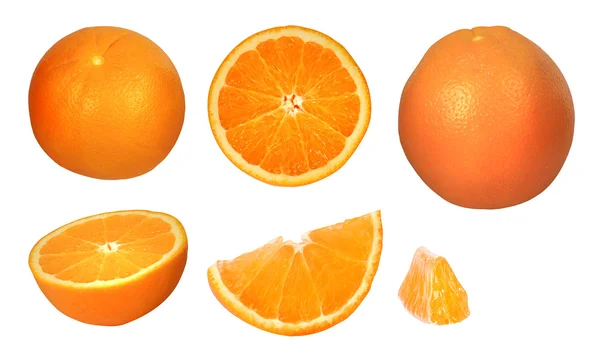 Collecte d'oranges — Photo