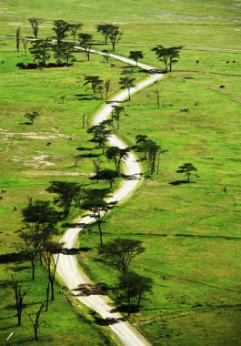 Afrika