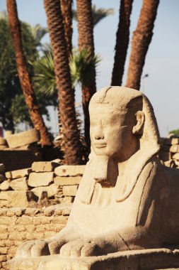 Luxor