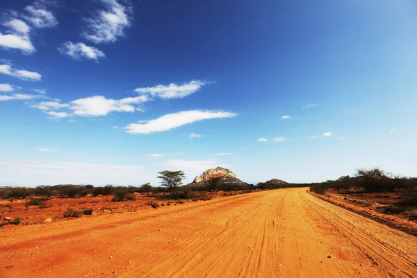 アフリカの道 — ストック写真