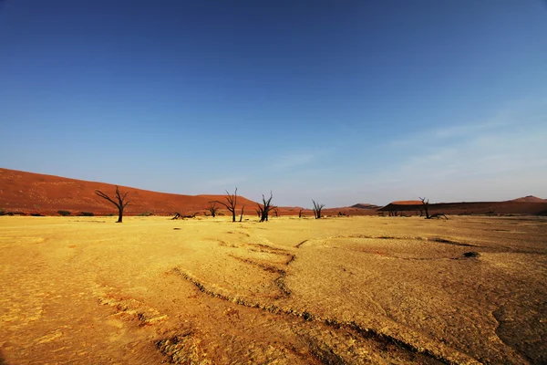 Namib woestijn op zonsondergang — Stockfoto