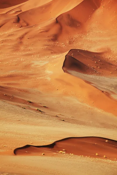Desert — Stock Photo, Image