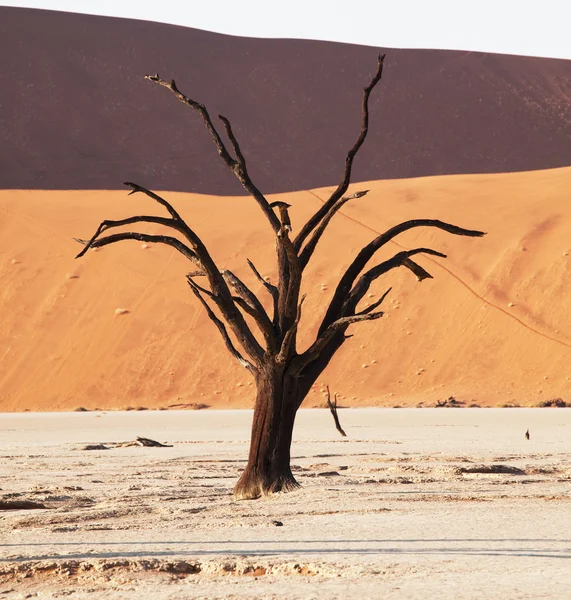 Долина мертвих — стокове фото
