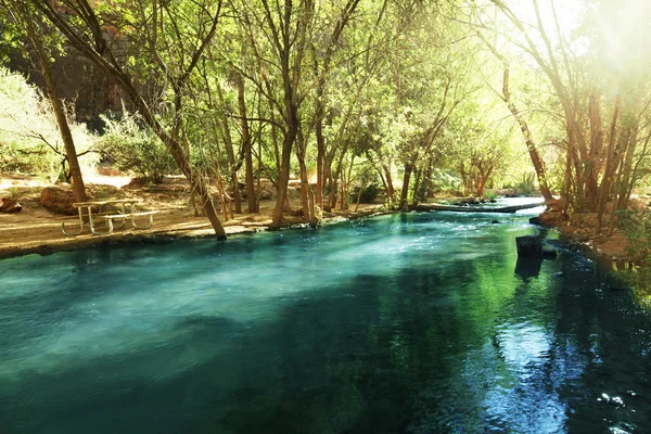 Flod i skog — Stockfoto
