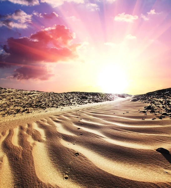 Пустыня на закате — стоковое фото